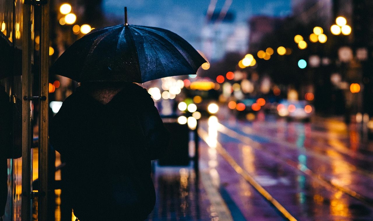 豪雨釀慘重落果！ 苗栗文旦柚災損救助啟動