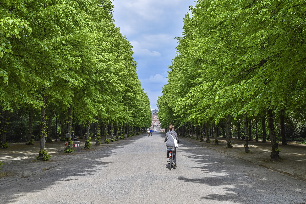 公告訂定「國家公園、國家自然公園、風景特定區及森林遊樂區與公園綠地，除吸菸區外，不得吸菸；未設吸菸區，全面禁止吸菸之場所」，並自即日生效 。