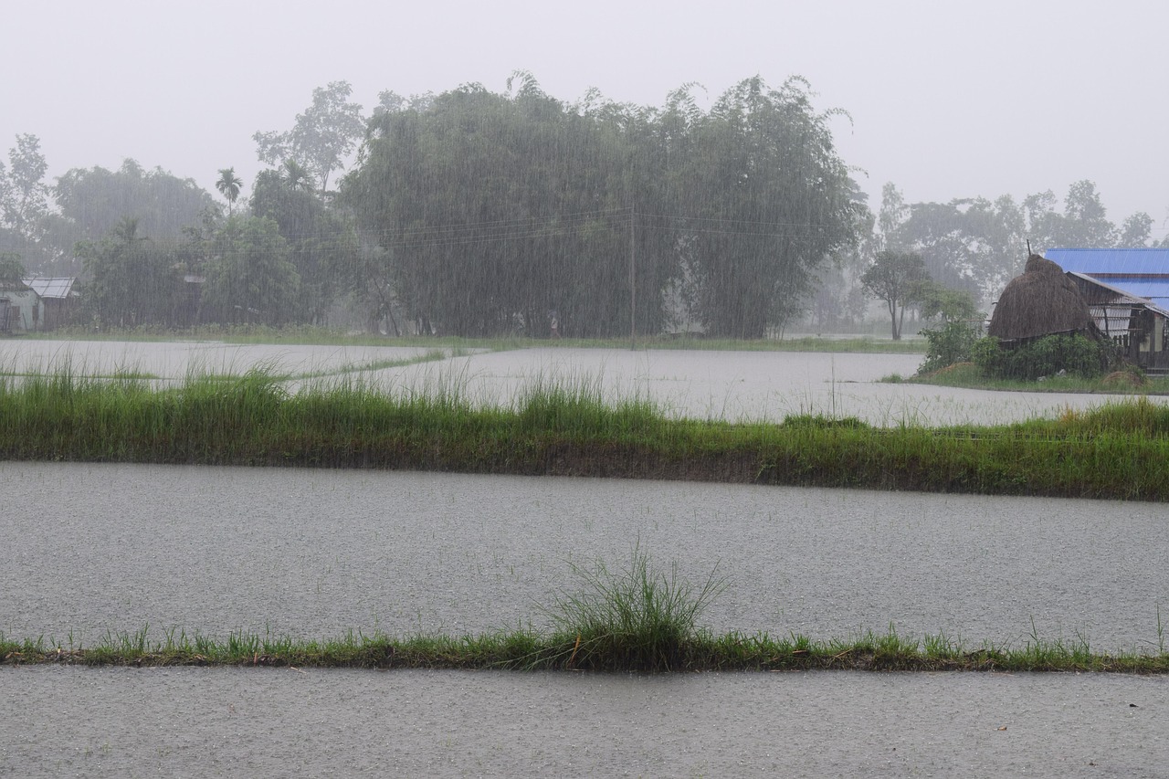 豪雨後追回進度 陳金德:台9線馬太鞍溪橋拚年底北上橋雙向通車