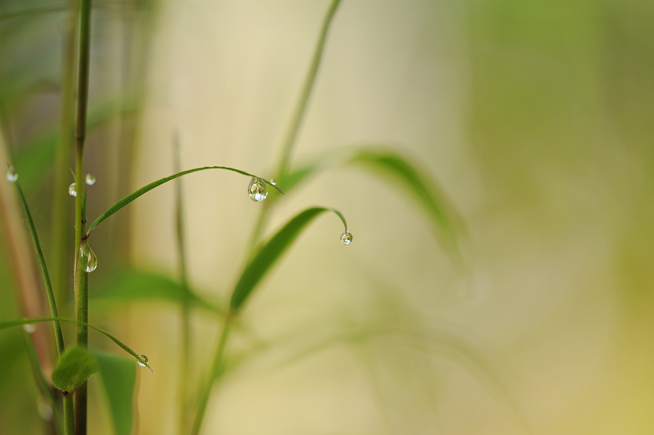 大台北還會淹水？ 淡水河的美麗與哀愁——台北地區防洪計劃｜為淡水河做一件事 - CSR@天下