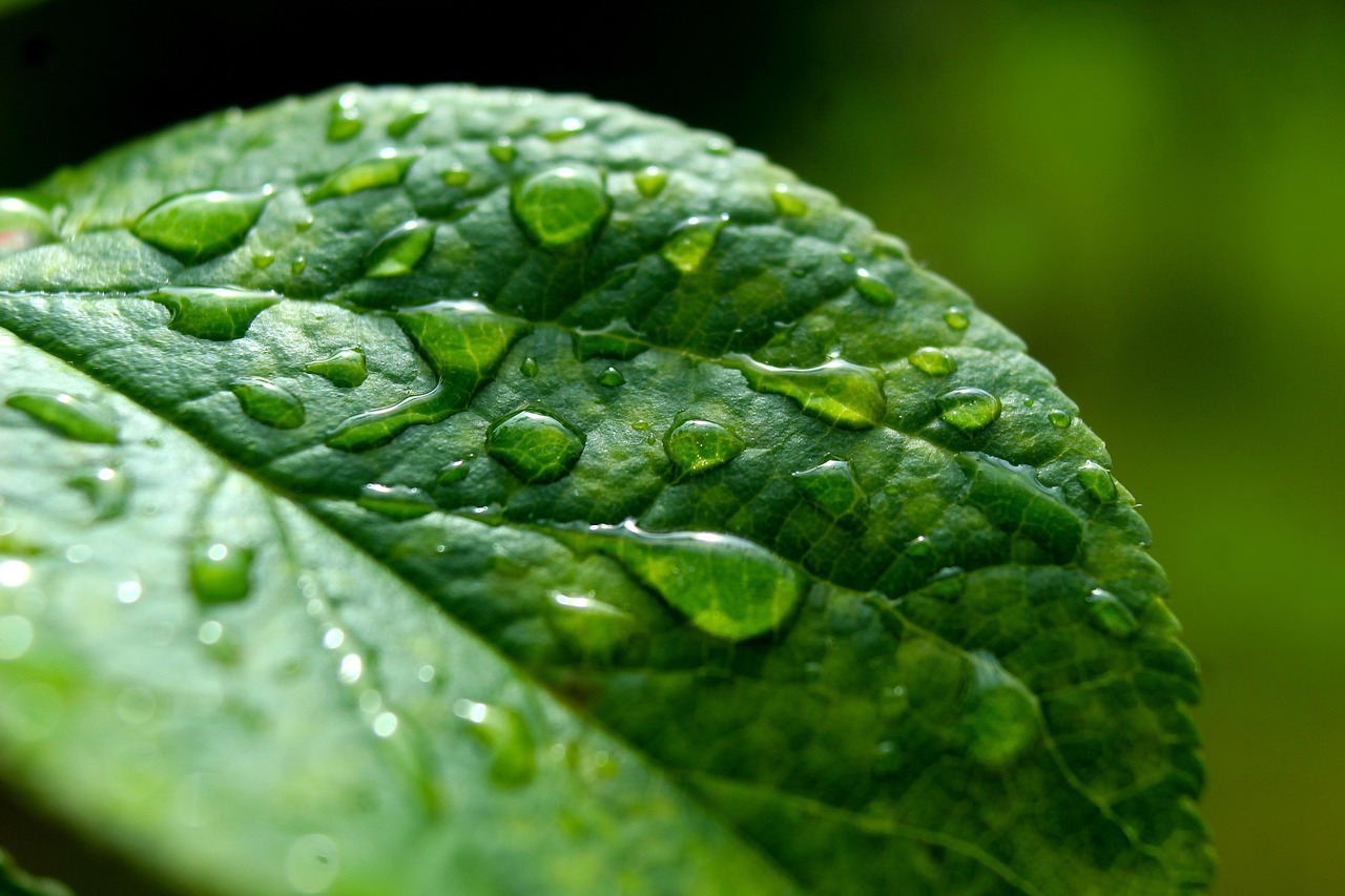 7縣市大雨特報!氣象署:恐有短延時強降雨