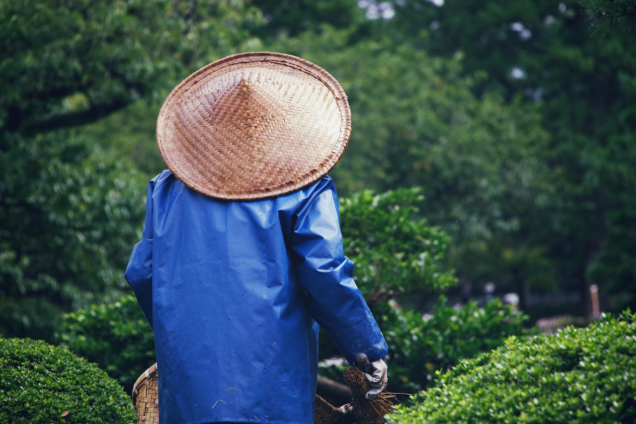 集集「海盜尋水記」8/1登場 戲水公園封路交管